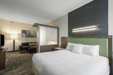 בית מלון כפרי Springhill Suites Tampa North/tampa Palms