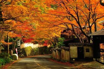 هتل Yugawara Onsen Kawasegien Isuzu