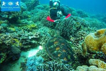 Reddoorz Plus @ Gracey Dive Resort Dumaguete