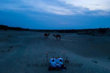 منتجع Pal Rajah Desert Camp