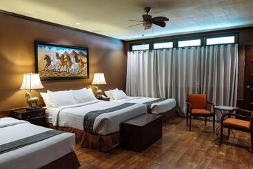 酒店 Dahilayan Forest Park Resort