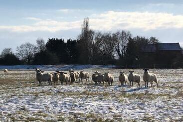 住宿加早餐  Marston Hall