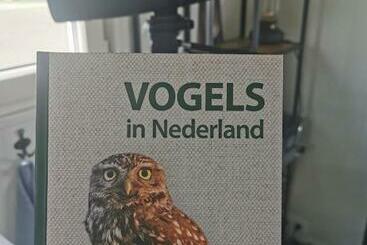B&b Op De Terp