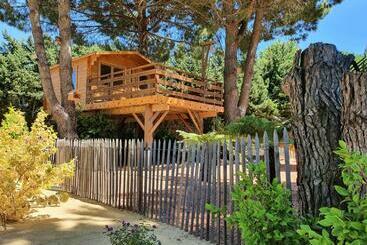 ベッドアンドブレックファースト La Palmeraie