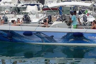 B&b Mediterraneo