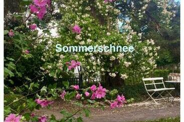 پانسیون Villa Harmonie
