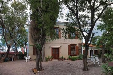 Lela Kaptani Eftalou Olive Grove