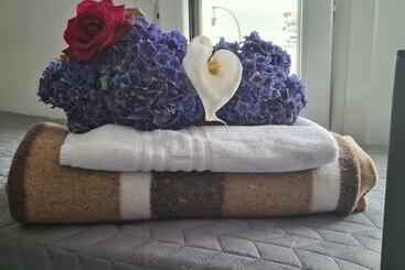 Albergue O Marco Hostel