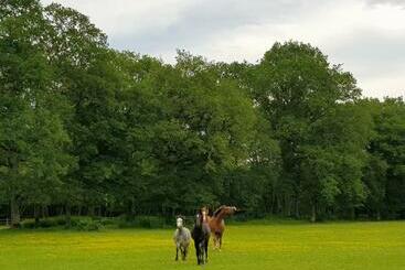 تختخواب و صبحانه Haras Du Vignault Le Bûcher