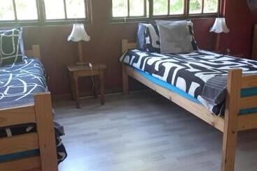 Bed and Breakfast Thrush Nest Durban