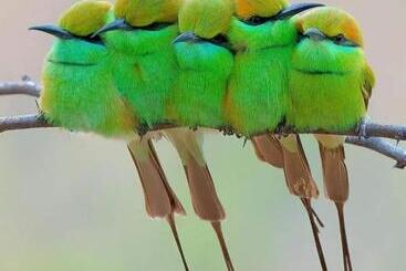 بنسيون B&b Landlust Guesthouse