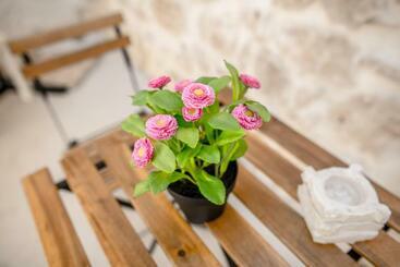 Carlentini House B&b
