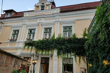 پانسیون Villa Vodicka