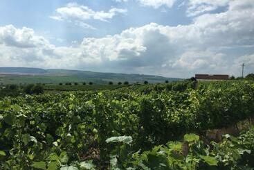 تختخواب و صبحانه Wineyards Salin