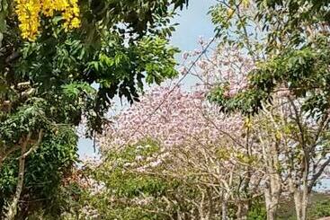 پانسیون Chalé Quintal Amazon