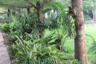 استراحتگاه B&b Forest Hill Khao Yai
