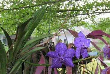 استراحتگاه B&b Forest Hill Khao Yai