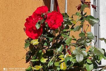 Bed and Breakfast Beb Da Gaia E Giulio