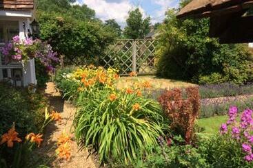Bed and Breakfast Vine Cottage