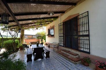 B&b Agave 64