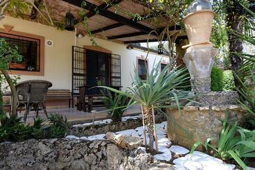B&b Agave 64
