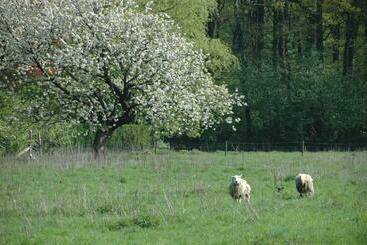 تختخواب و صبحانه Gastenlogies Blauwe Schaap