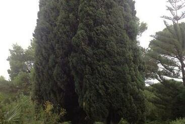 تختخواب و صبحانه Ai Cipressi