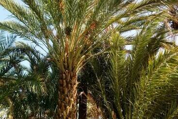 پانسیون Le Chant Des Palmiers
