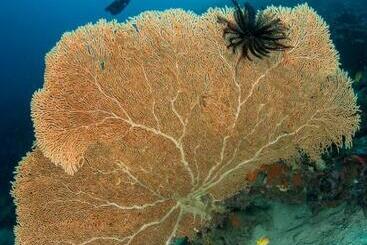 Punta Bulata White Beach Resort & Spa