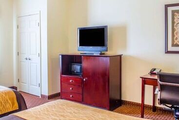 فندق Comfort Inn & Suites