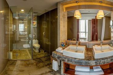 هتل Holiday Inn Yinchuan International Trade Centre