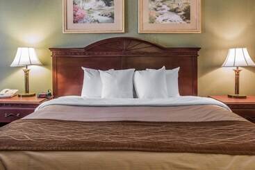 Отель Quality Inn & Suites Ann Arbor Hwy 23
