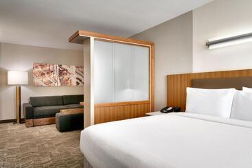 هتل Springhill Suites By Marriott Las Vegas Convention Center