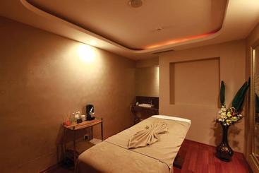 هتل Holiday Inn Gebze  Istanbul Asia, An Ihg