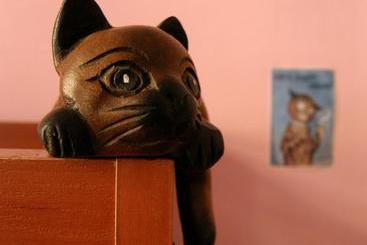 Cats House Hostel