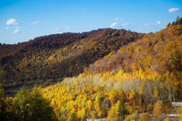هتل Holiday Inn Resort Changbaishan, An Ihg