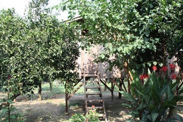هتل SabanTreeHouses