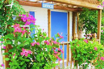 هتل Seashell Beach Resort