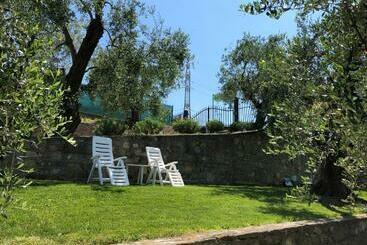 تختخواب و صبحانه Casa Vacanze Uliveto