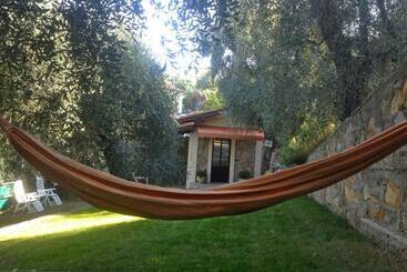 تختخواب و صبحانه Casa Vacanze Uliveto
