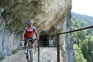 Wohlfühlhotel Goiserer Mühle