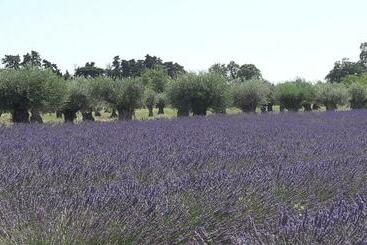 تختخواب و صبحانه Le Clos Des Vergers
