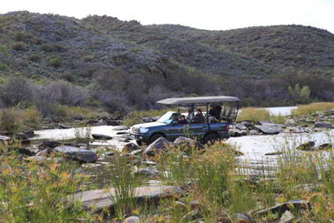 هتل Madi Madi Karoo Safari Lodge