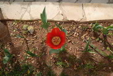 هتل روستایی Niki S House