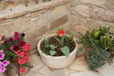 هتل روستایی Niki S House