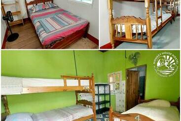 Monkey House Hostel