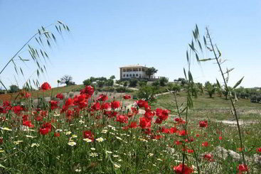 هتل روستایی El Geco Verde