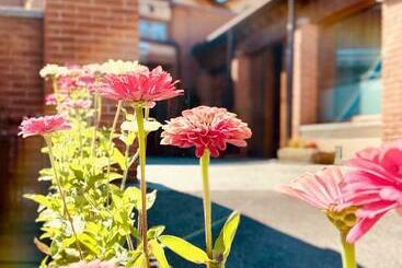 Отель Agriturismo Teresa Delle Fragole