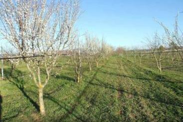 Agriturismo Il Marrugio