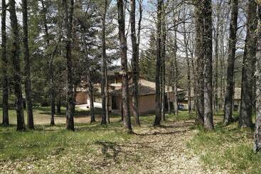 Hostel El Oso Pardo